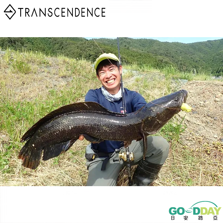 >日安路亞< >日安路亞< TRANSCENDENCE TRAPA77B+ 可變多節雷魚竿-細節圖3