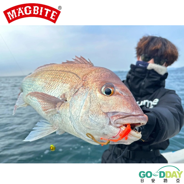 >日安路亞< MAGBITE HIGEDAN 3.2＂ 軟蟲、根魚-細節圖3