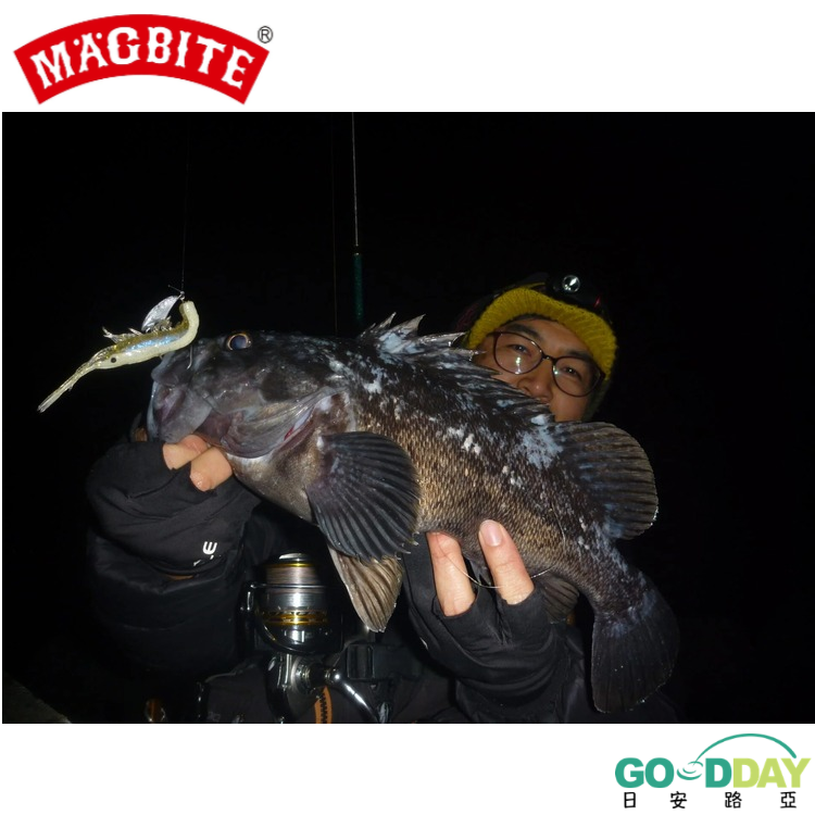 >日安路亞< MAGBITE SNATCH BITE SHRIMP 4＂ 擬真蝦型軟蟲-細節圖3