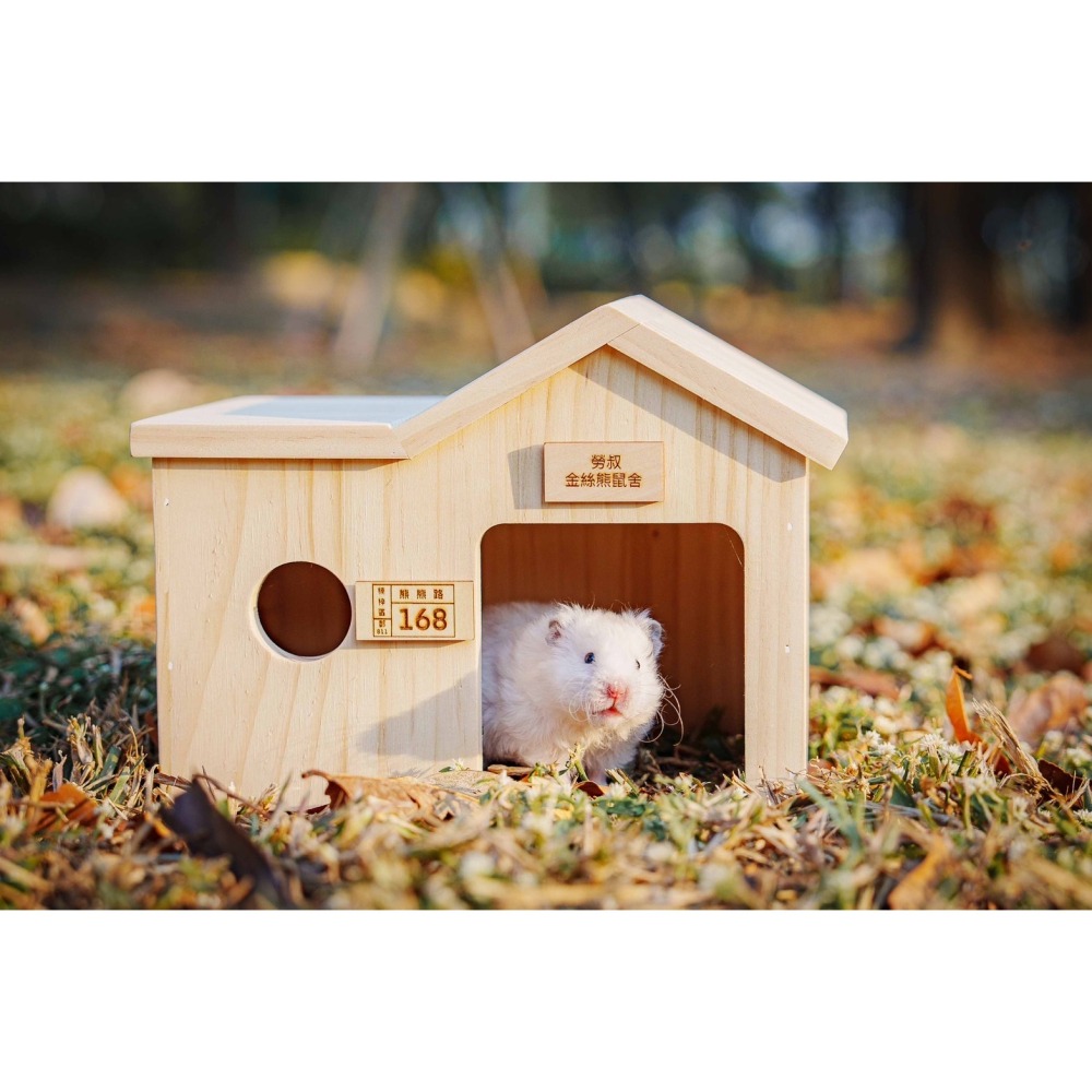 勞叔起大厝大木屋-細節圖3