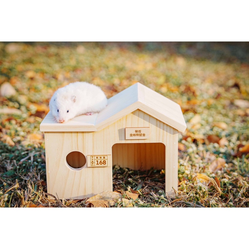 勞叔起大厝大木屋-細節圖4