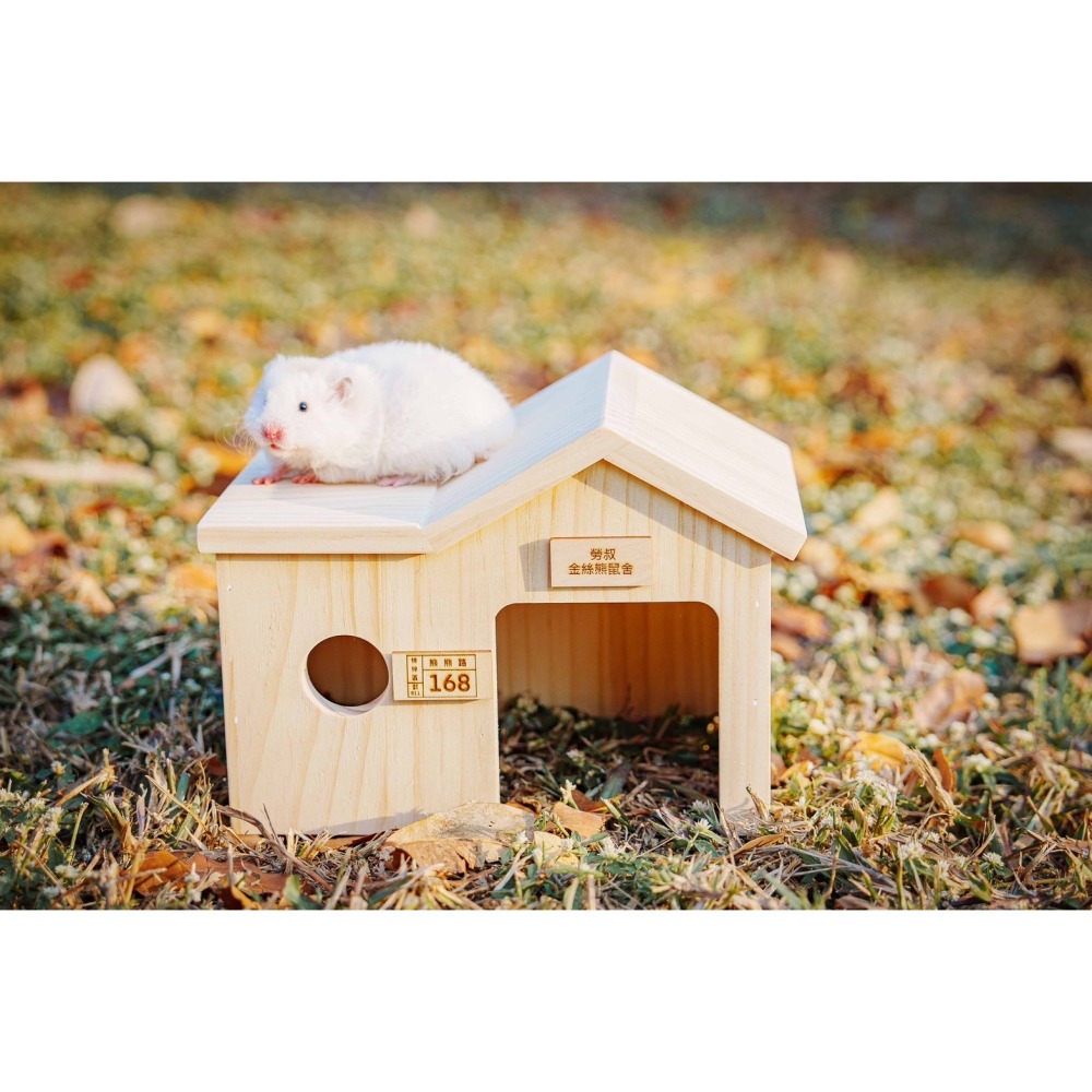 勞叔起大厝大木屋-細節圖5