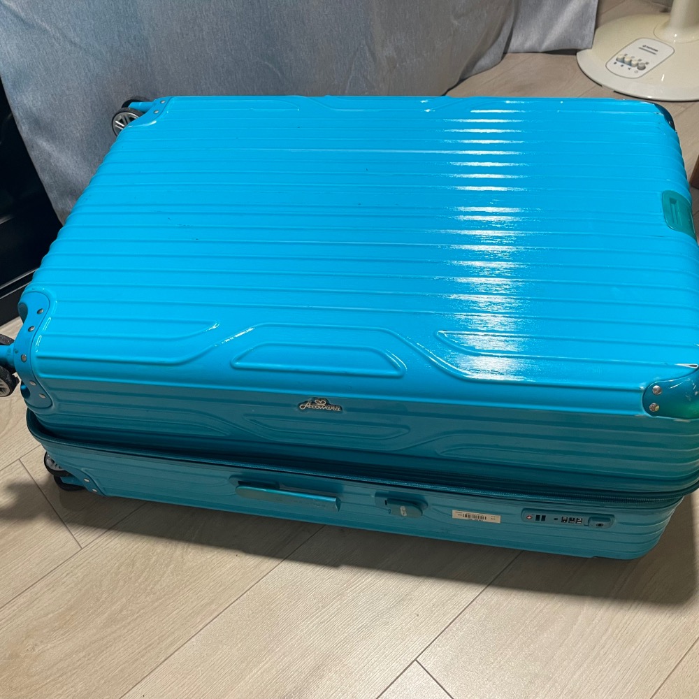 賠錢賣 行李箱 旅行箱 拉鍊行李箱 28吋 可參考 登機箱 尼龍行李箱 軟箱 RICARDO 手拿包 手拉車 旅行袋 收-細節圖5