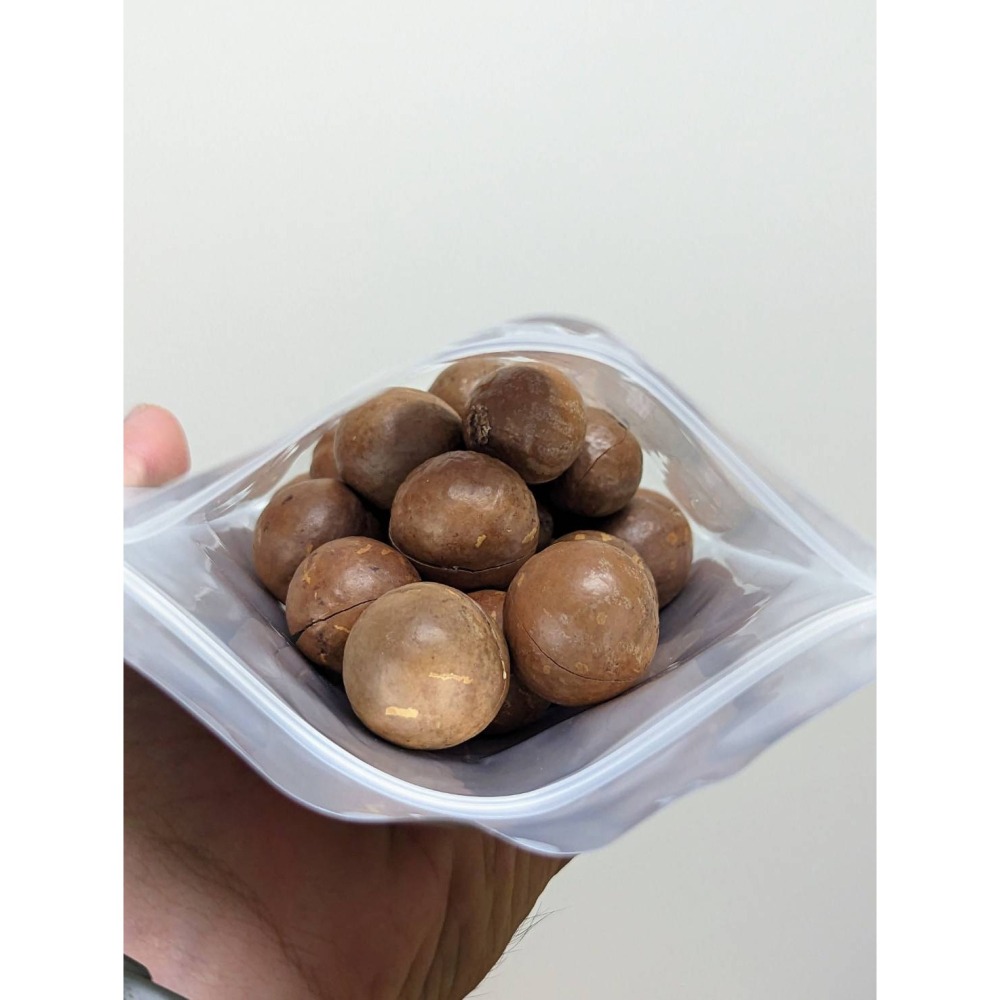 現貨【越南堅果】帶殼夏威夷果 袋裝淨重250克 (附開殼器)⭐自己剝殼⭐有樂趣，純素可食-細節圖2