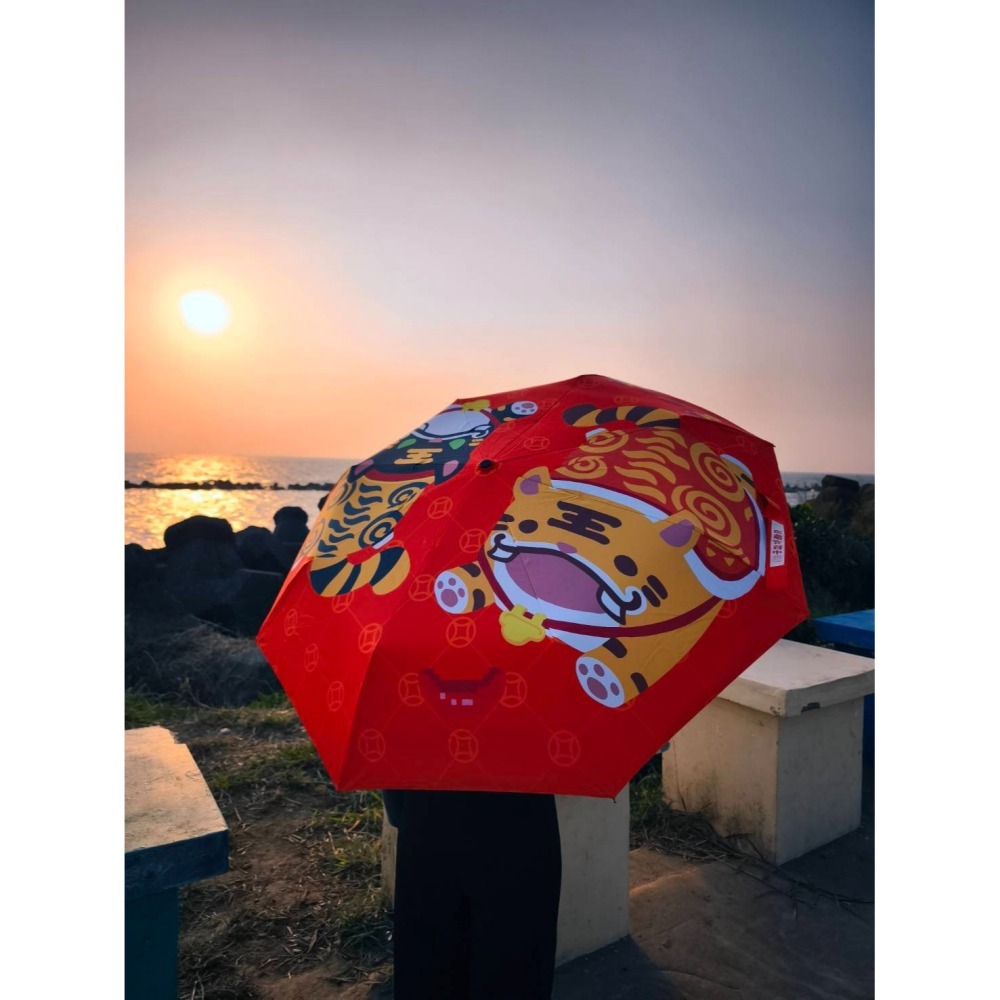 【何記文創】虎爺實習中保庇平安自動摺疊傘 防曬黑膠自動傘 雨傘 遮陽傘-細節圖4