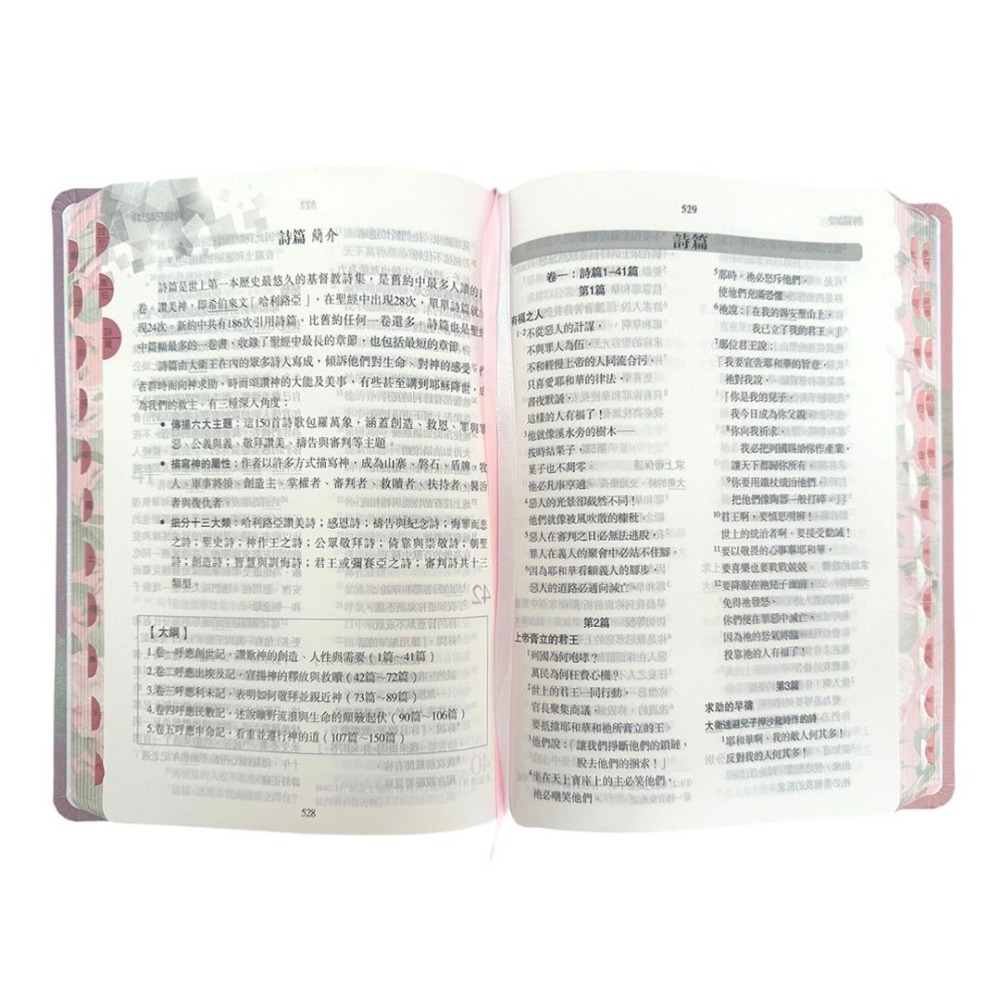 【中文聖經當代譯本】(清新粉)彩繪皮面索引聖經SRCCB77GTI4.605-細節圖2
