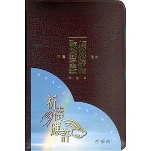 新版【中文聖經和合本】祈禱應許版聖經-拉鍊 橫排 藍色銀邊 紅色金邊 黑色金邊 共三款-細節圖2