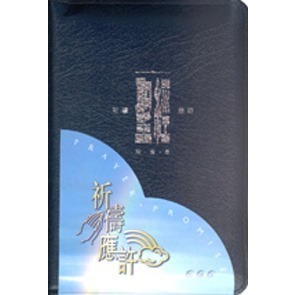 新版【中文聖經和合本】祈禱應許版聖經-拉鍊 橫排 藍色銀邊 紅色金邊 黑色金邊 共三款-細節圖3