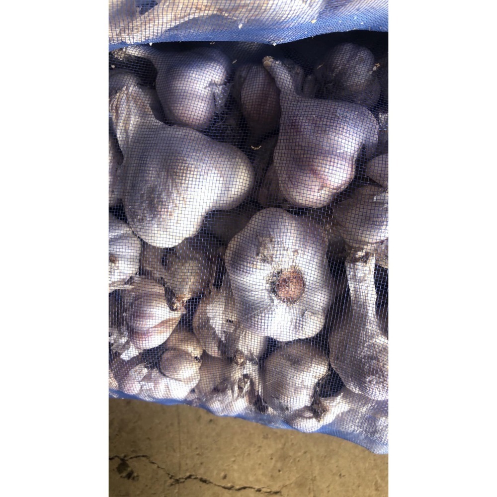 蒜泥蔥鳴/蒜頭-細節圖5