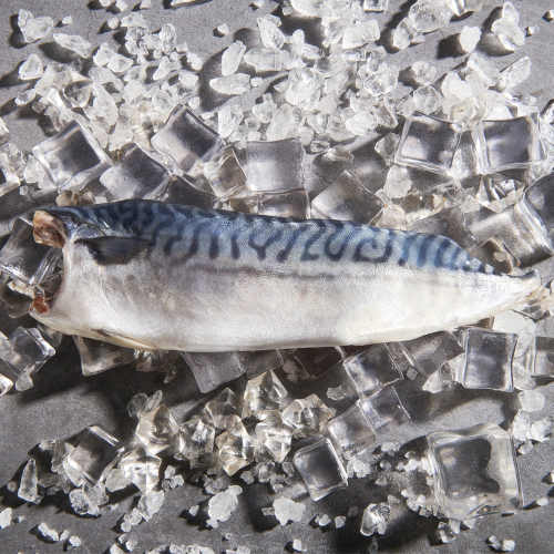【72有鮭魚】挪威頂流薄鹽鯖魚片 180g