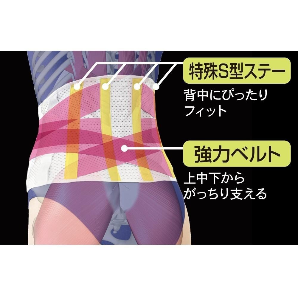 ✨三重透氣護腰帶✨現貨 日本Alphax 護腰 護腰帶 束腹帶 護具 支撐護腰帶 束腹護腰帶 束腰帶 骨盆帶-細節圖6