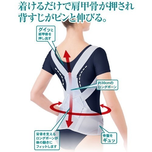 ✨護腰美姿調整帶✨現貨 日本Alphax 日本製 護腰 護腰帶 束腹帶 護具 支撐護腰帶 束腹護腰帶 束腰帶 骨盆帶-規格圖9