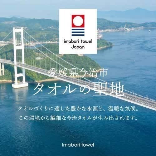 ✨條紋毛巾✨現貨 毛巾 浴巾 今治毛巾 今治浴巾 今治認證 日本今治 吸水毛巾 速乾浴巾 純棉毛巾 飯店毛巾 日本製-細節圖7