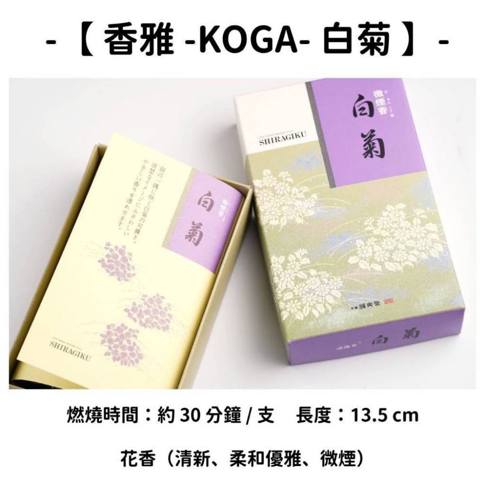 【香雅-KOGA-】白菊