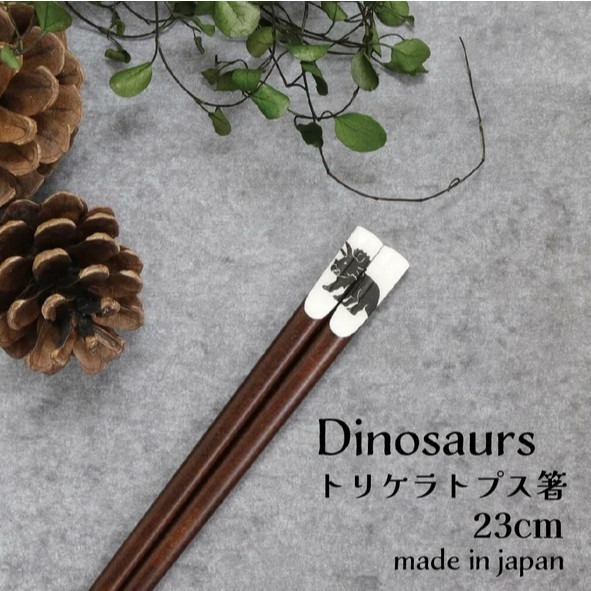 ✨日式筷子✨現貨 日本原裝 日本製 筷子 餐具 日本餐具 露營用具 六角筷 尖頭筷子 環保餐具 外出餐具 餐具組-規格圖9