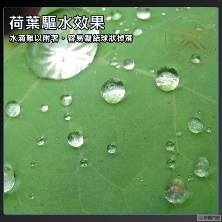 【昕展】 CRV6 HRV3 專用 後視鏡 防水 防雨 防水膜 防雨膜 驅雨 驅水 CRV HRV 配件 2025-細節圖4