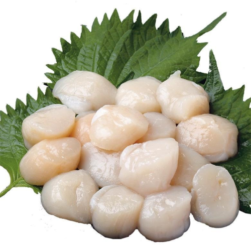 《冷凍》日本北海道生食級干貝(300g±10%)/盒【現貨 附發票】