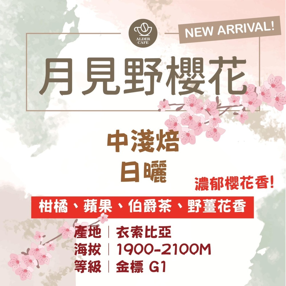 偶得珈琲:精選濾(耳)掛咖啡包 氮氣充填 GIESEN烘焙機-細節圖3