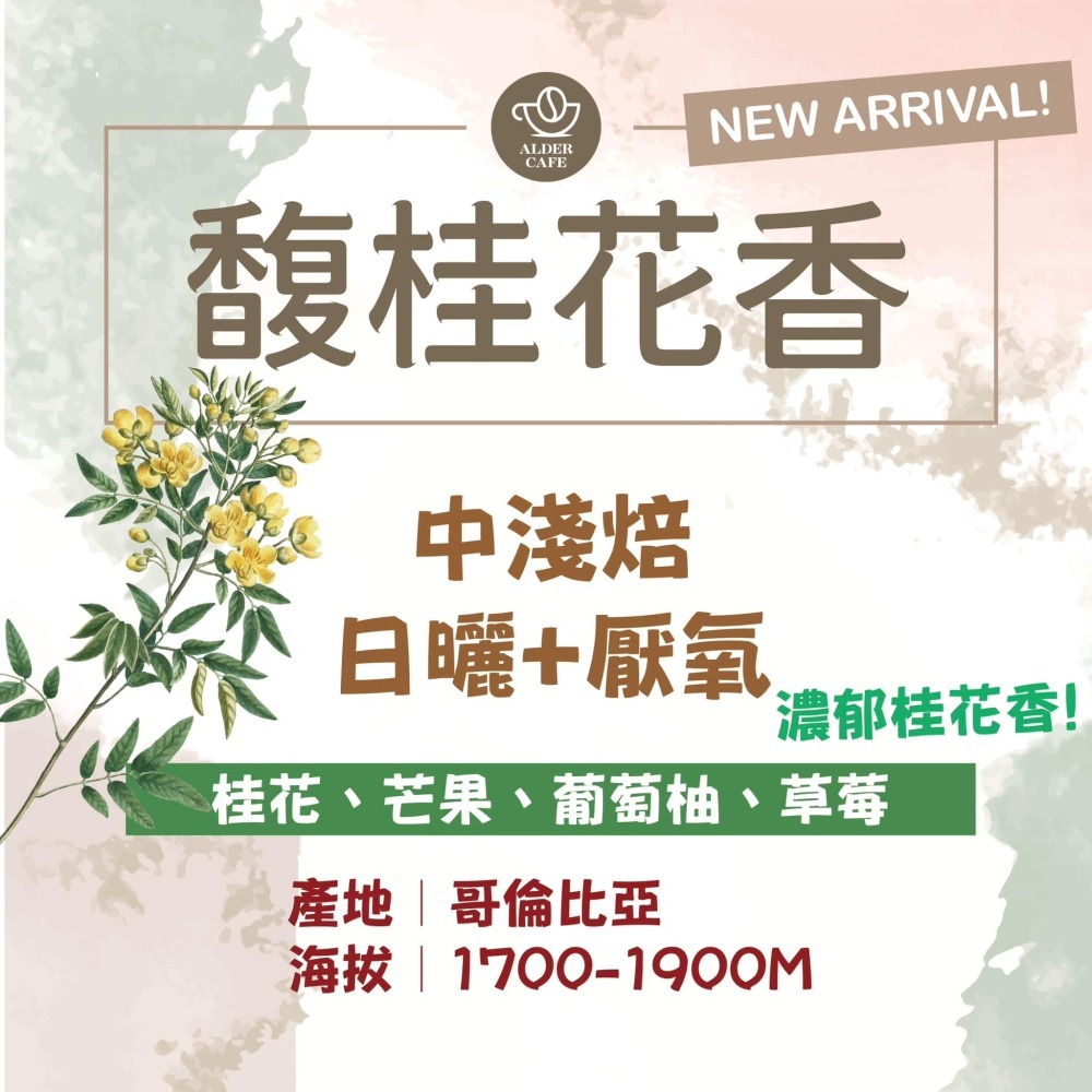 偶得珈琲:精選濾(耳)掛咖啡包 氮氣充填 GIESEN烘焙機-細節圖4