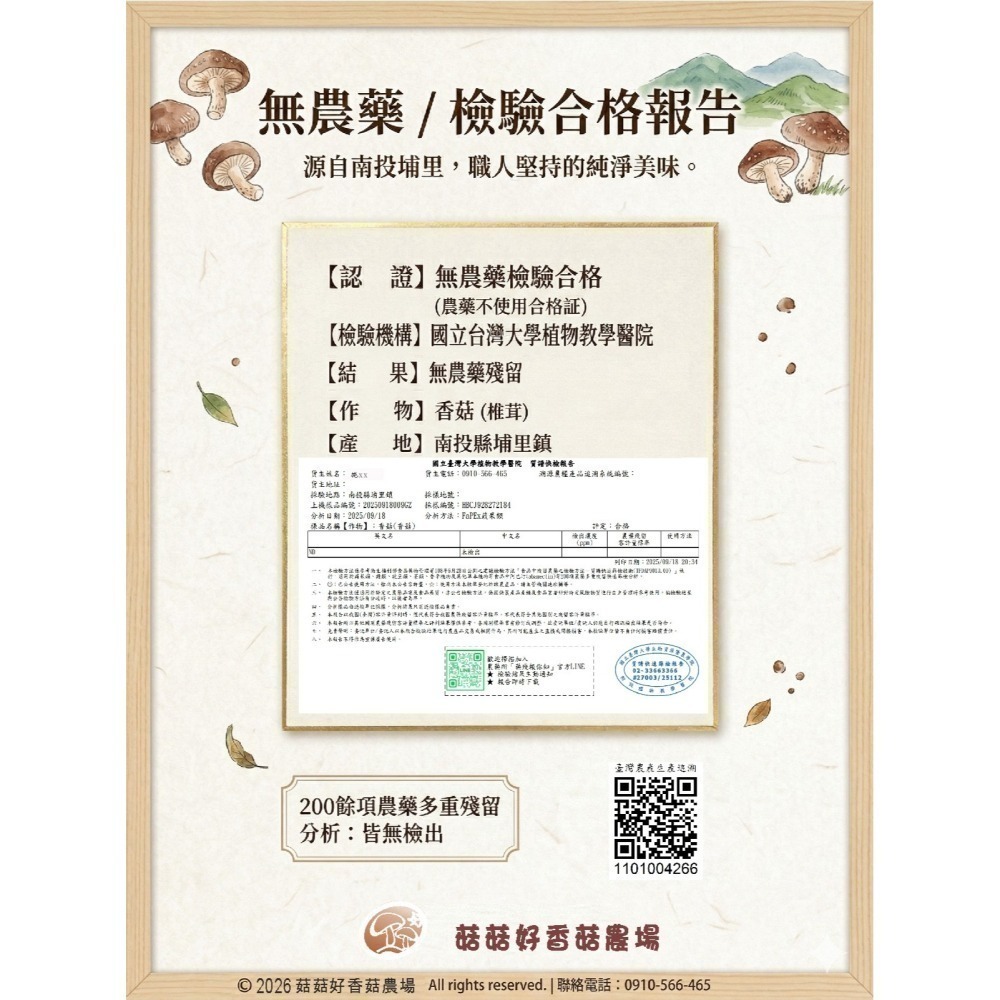 【山城之味】台灣埔里黑早冬菇・香氣最濃(產地直送)-細節圖3
