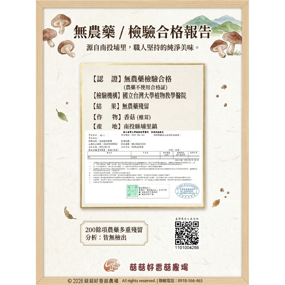 香菇腳(雙剪)/香菇頭/黑早冬菇/粗細混合-細節圖4