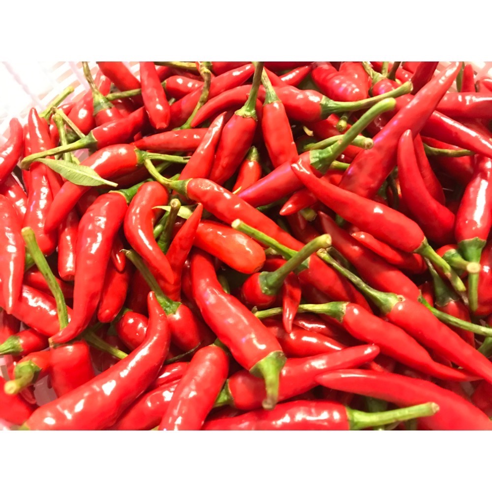 辣妹子-New🌟塔香辣椒皮蛋醬-《多蛋版》🌟-細節圖5