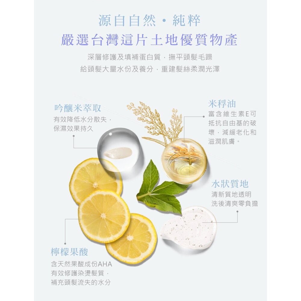 【實體店+發票】SINTER顏璽》晶米吟釀洗髮潤髮乳 保濕不流淚洗髮露 乾使兩用免沖洗護髮素 送禮-細節圖11