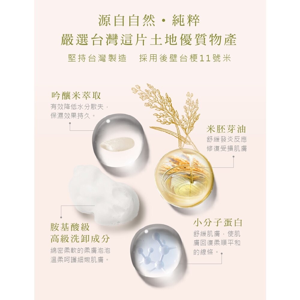 【實體店+發票】SINTER顏璽》晶米吟釀潔膚潤膚乳 敏感肌膚適用 沐浴乳 潤膚乳 胺基酸 送禮-細節圖8