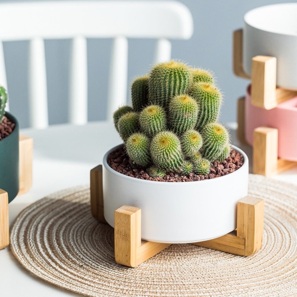 【實體店+發票】北歐風多用途木架陶瓷 花盆木架 木架沙發碗 木架寵物碗 陶瓷花盆 水培花盆 微波烤箱碗 送禮-細節圖7