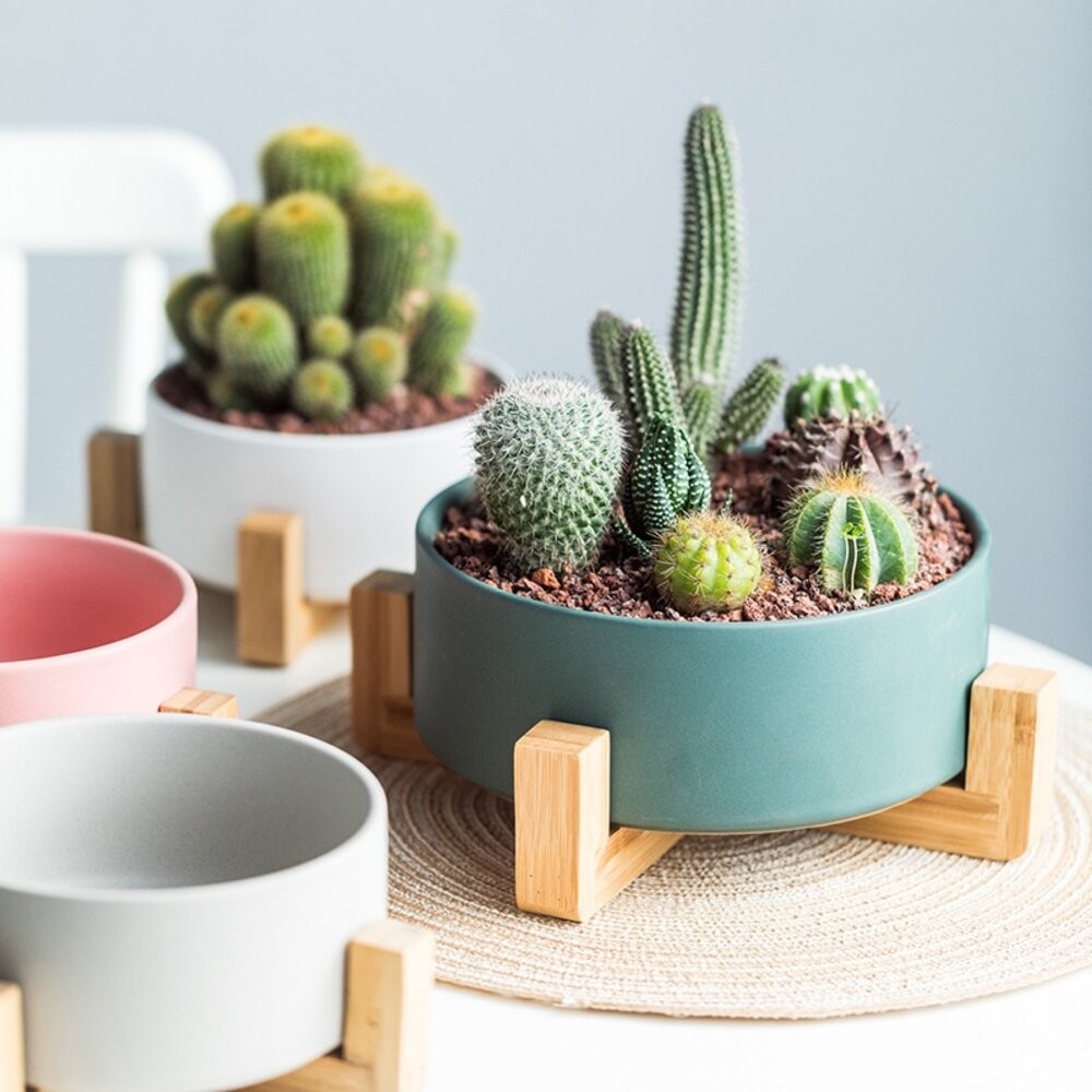 【實體店+發票】北歐風多用途木架陶瓷 花盆木架 木架沙發碗 木架寵物碗 陶瓷花盆 水培花盆 微波烤箱碗 送禮-細節圖3