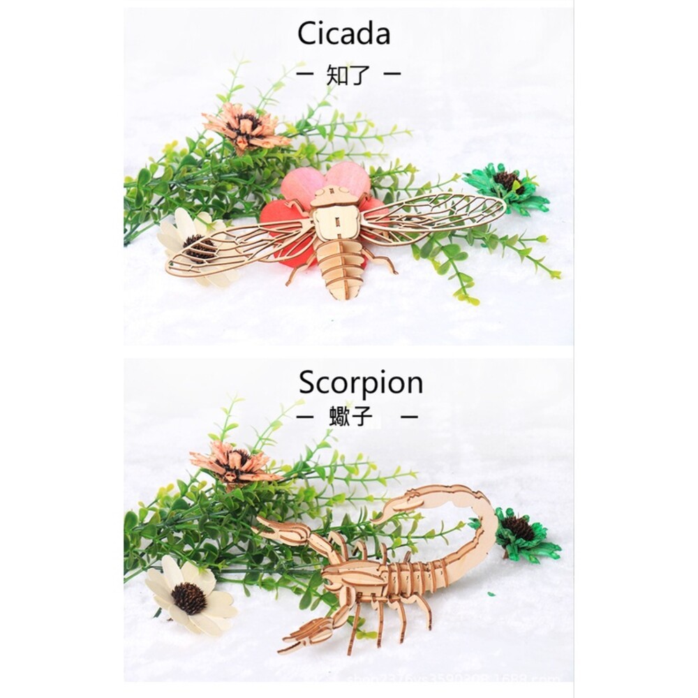 【實體門市】兒童昆蟲3D拼圖模型 昆蟲動物立體3D拼圖 幼兒園 禮物 創意DIY拼裝模型-細節圖8