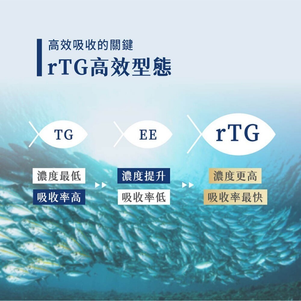 【實體門市】無毒農益菓保/歐趴DHA魚油 95%高濃度 1.5公分小膠囊 rTG孕婦嬰幼童魚油-細節圖3