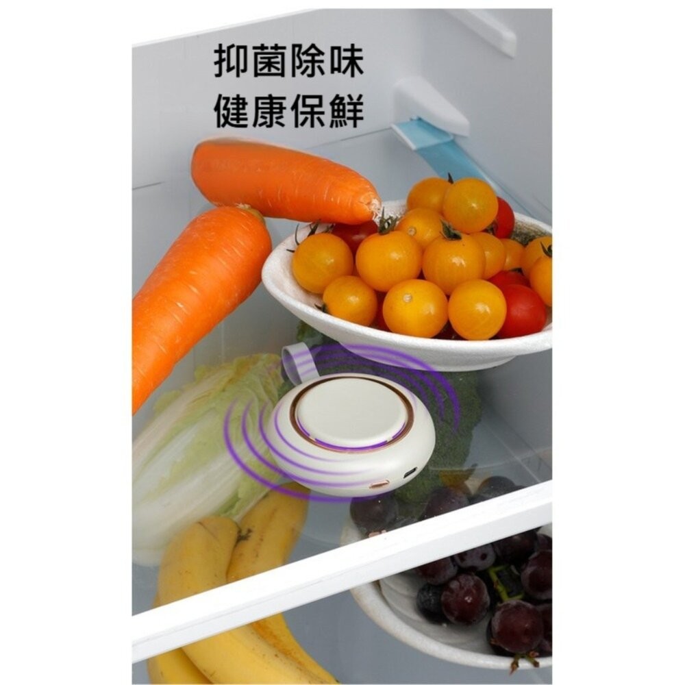 【實體店+發票】冰箱除味臭氧紫外線殺菌器 冰箱除臭器 車用空氣淨化器 除菌器 消毒器 殺菌消毒 家用電器 送禮-細節圖2