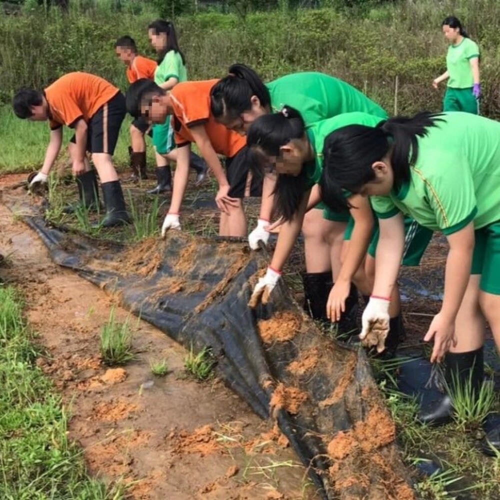 【實體店+發票】義賣手工洛神花果醬 千手兒少關懷協會 關西國中棒球隊 學生+義工手工製作-細節圖7