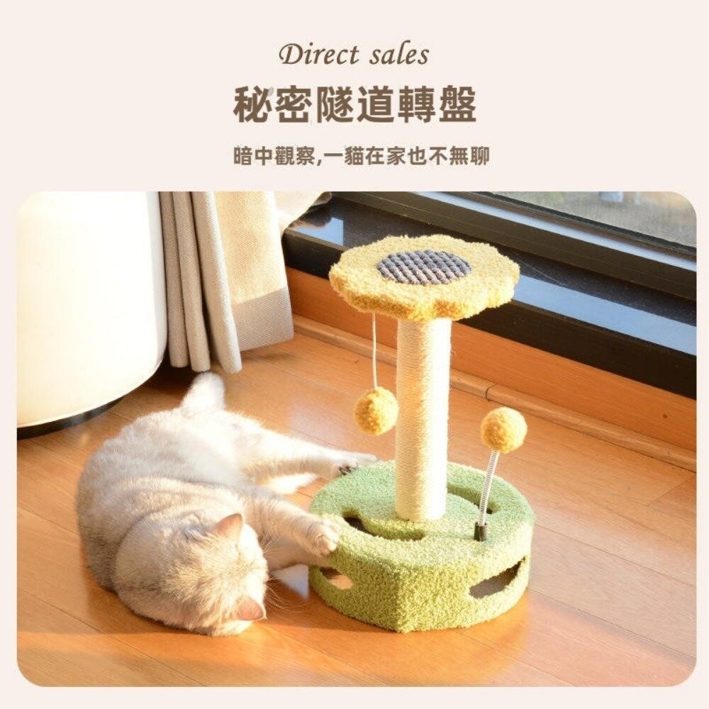 【實體店+發票】自嗨轉盤貓抓柱 猫爬架貓跳台小型劍麻逗猫玩具 猫抓板 磨爪 猫咪玩具 轉盤型 亞馬遜新款-細節圖8