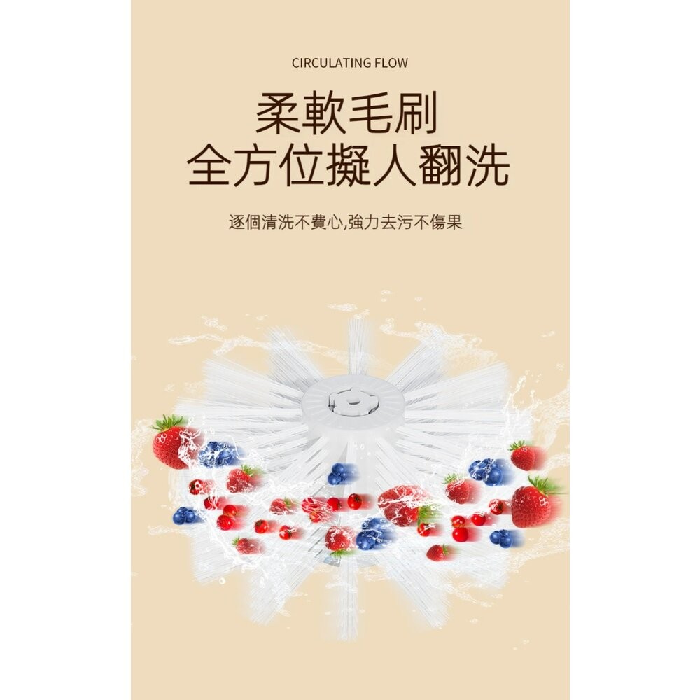 【實體店+發票】懶人電動洗菜機 電動旋風蔬果清洗器 家用洗水果神器 電動清洗機 送禮-細節圖6