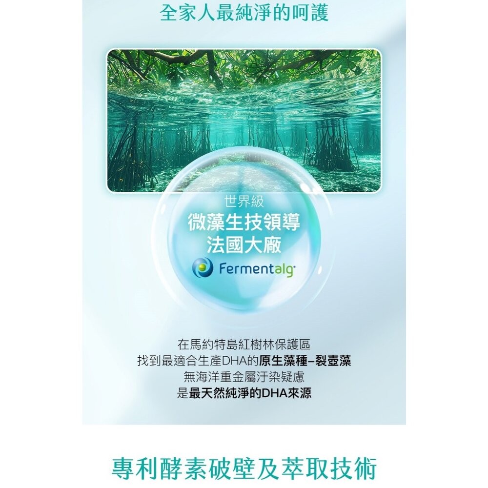 【台北士林*店面】法國頂級DHA植物藻油 植物DHA無異味 適合素食者 適合全家人食用 Aicom 艾力康 30粒/盒-細節圖3