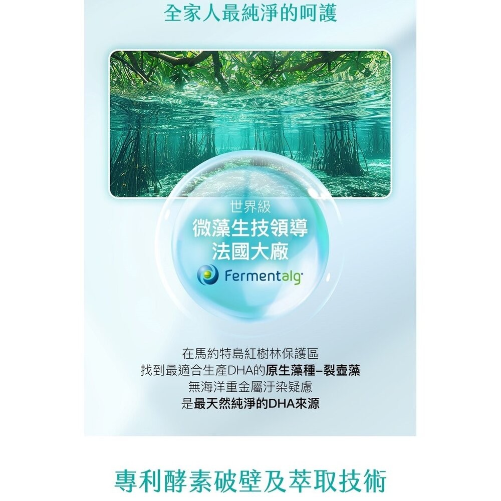 【台北士林*店面】法國頂級DHA植物藻油 植物DHA無異味 適合素食者 適合全家人食用 Aicom 艾力康 30粒/盒-細節圖9