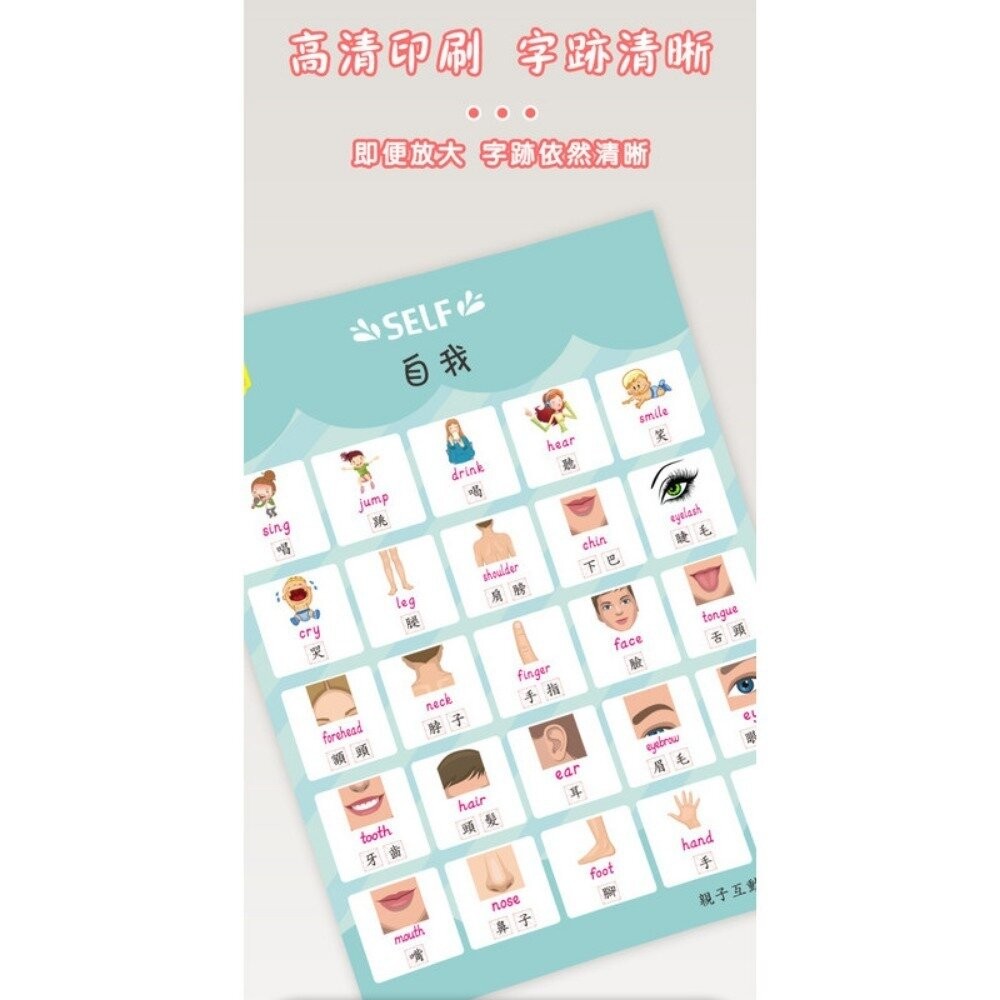 【實體店+發票】雙語兒童啟蒙認知海報組 幼兒早教掛圖 嬰幼兒啟蒙學習 繁體中文 中英雙語 防水防污 親子互動 認知海報-細節圖6