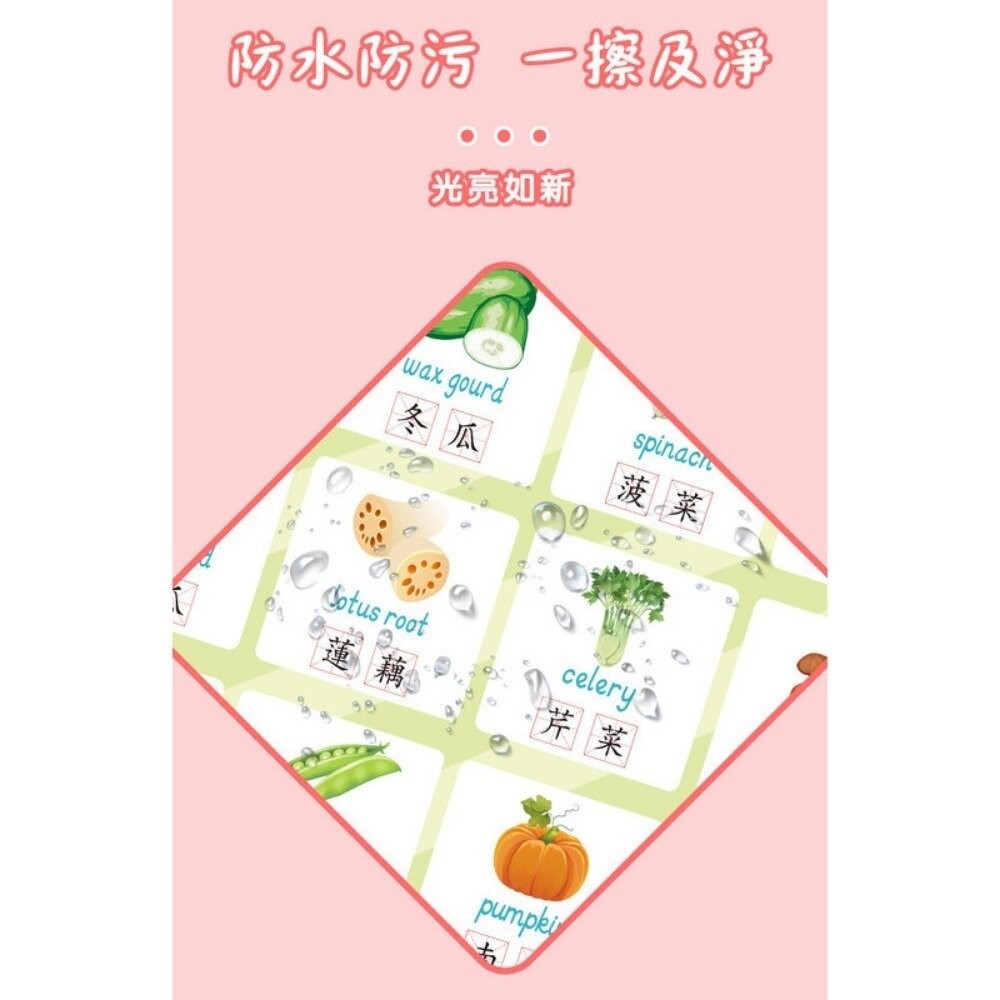 【實體店+發票】雙語兒童啟蒙認知海報組 幼兒早教掛圖 嬰幼兒啟蒙學習 繁體中文 中英雙語 防水防污 親子互動 認知海報-細節圖7