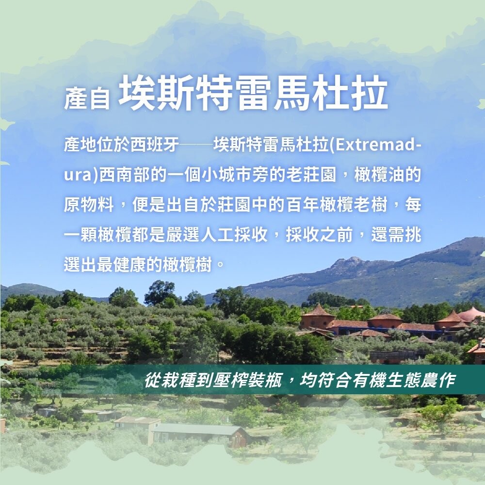 【實體店+發票】【囍瑞BIOES】西班牙有機冷壓初榨橄欖油 低油酸健康食用油 瑪伊娜有機特級橄欖油 禮盒裝 送禮-細節圖11