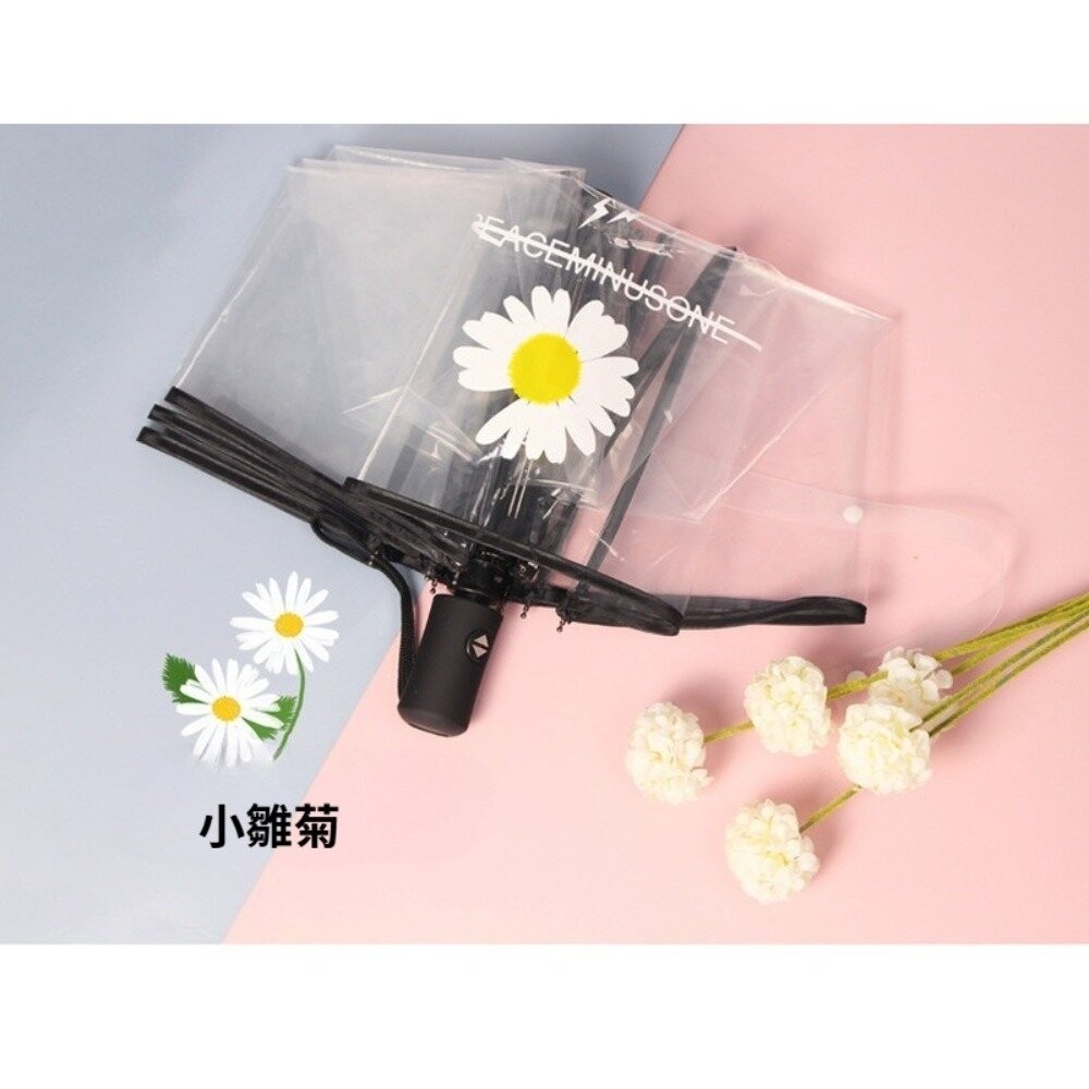 【台北士林*店面】韓式時尚透明三折傘 自動開合雨傘 透明雨傘 摺疊傘 雨具 透明 防風 櫻花 雛菊 送禮-細節圖3