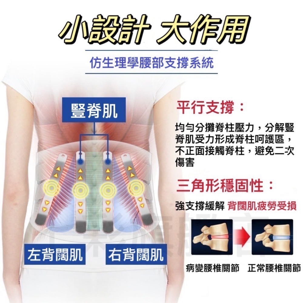金屬板透氣護腰 護腰帶 鋼板護腰束腰帶 護腰帶 腰夾 護腰 護具-細節圖5