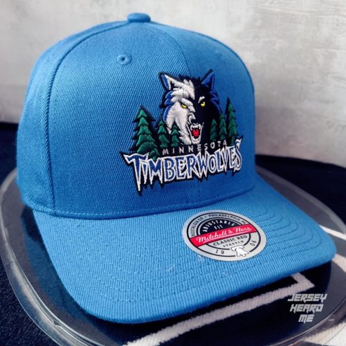 【球衣藏家】Minnesota Timberwolves 灰狼 藍森林 M&amp;N 可調式老帽 NBA Dad Hat