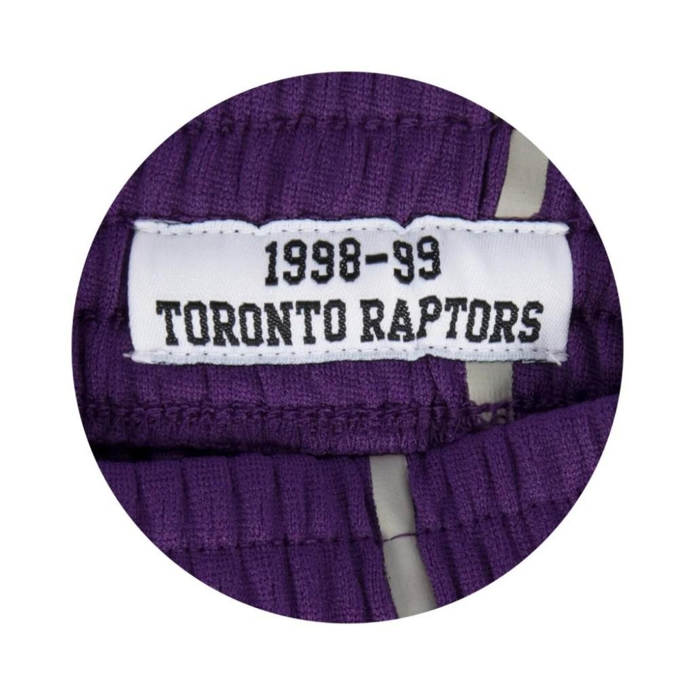 【球衣藏家】暴龍 復古 紫條紋 Raptors Mitchell & Ness M&N SW 球迷版 NBA 球褲-細節圖4