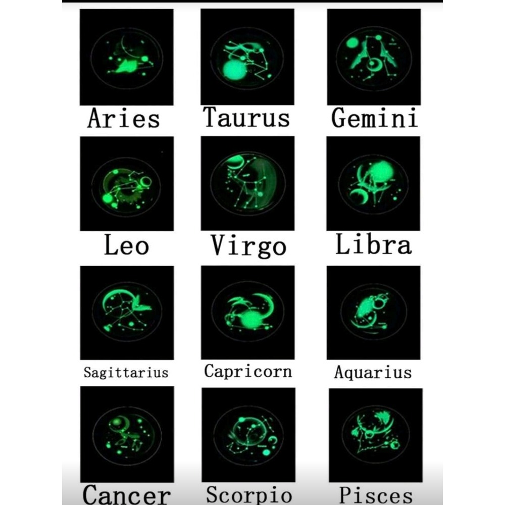 十二星座夜光項鍊｜12星座可選-細節圖3