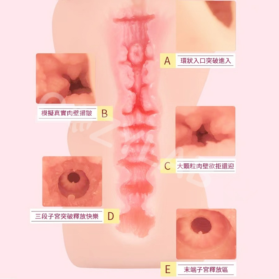 【正品保證 新品買一送2】COZYLAB PaPaKey 日本 小宵虎南 AV女優 名器 飛機杯 自慰杯 鍛煉 情趣用品-細節圖7