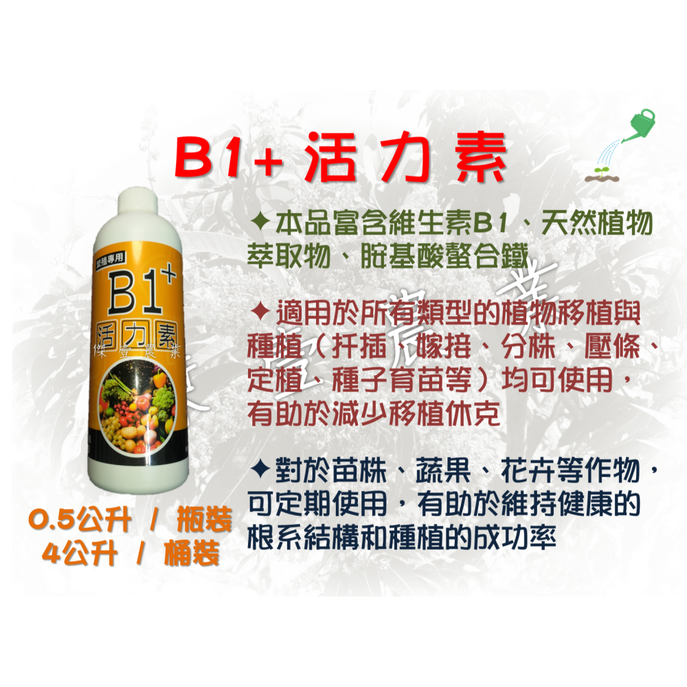B1+植物活力素 (0.5公升/瓶)  ✦定植✦、✦移植✦、✦嫁接✦、✦扦插✦、✦壓條✦、✦分株✦、✦發芽✦-細節圖3