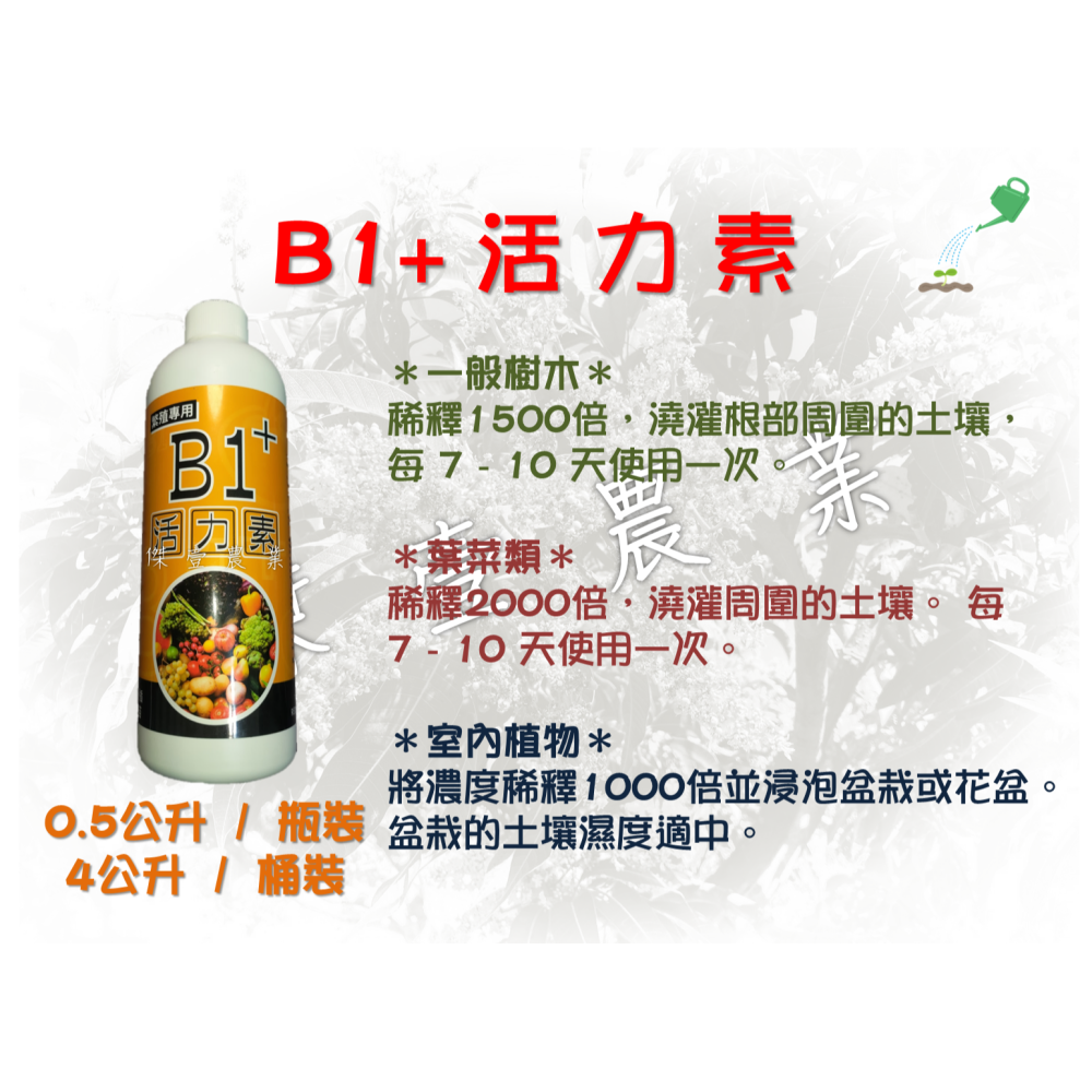 B1+植物活力素 (0.5公升/瓶)  ✦定植✦、✦移植✦、✦嫁接✦、✦扦插✦、✦壓條✦、✦分株✦、✦發芽✦-細節圖4