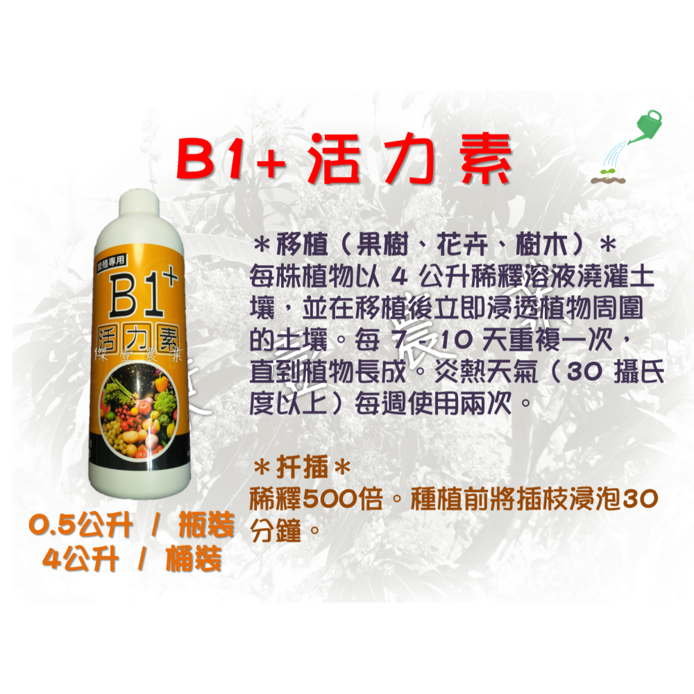 B1+植物活力素 (0.5公升/瓶)  ✦定植✦、✦移植✦、✦嫁接✦、✦扦插✦、✦壓條✦、✦分株✦、✦發芽✦-細節圖5